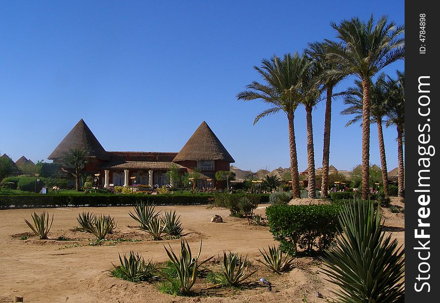 House, trees, sand and the blue sky. House, trees, sand and the blue sky