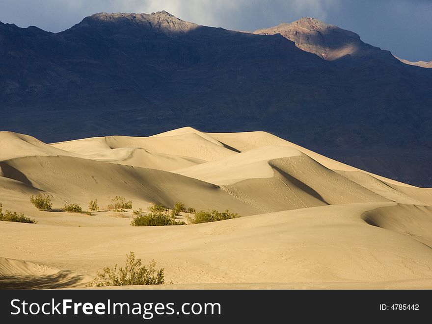 At sunset, undulating, golden sand dunes backed by dark mountains in Death Valley National Park. At sunset, undulating, golden sand dunes backed by dark mountains in Death Valley National Park.