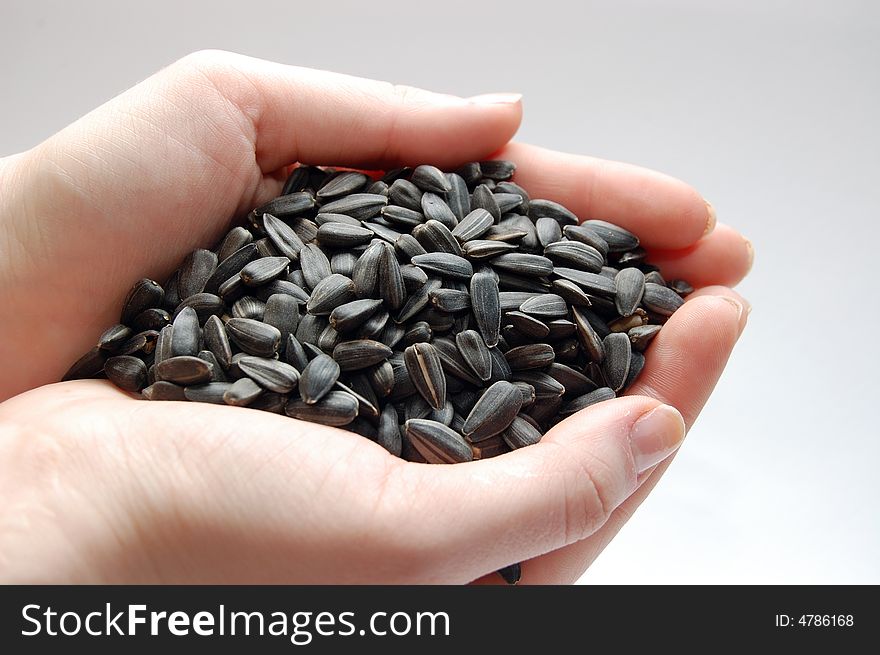 Sunflower seeds in hands, oily, food