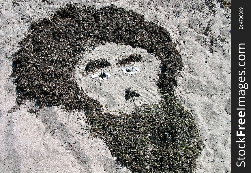 Beach art - Human face made of seaweeds and stones. Beach art - Human face made of seaweeds and stones