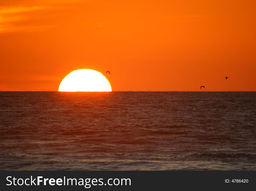 Gorgeous Sunset at Piha in Auckland New Zealand