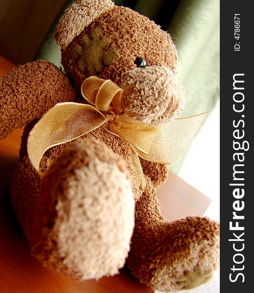 Sweety little plushy brown bear. Sweety little plushy brown bear