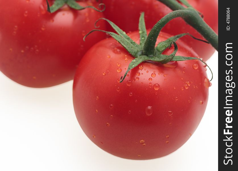 Tomato fresh red dew vegetable organic food. Tomato fresh red dew vegetable organic food