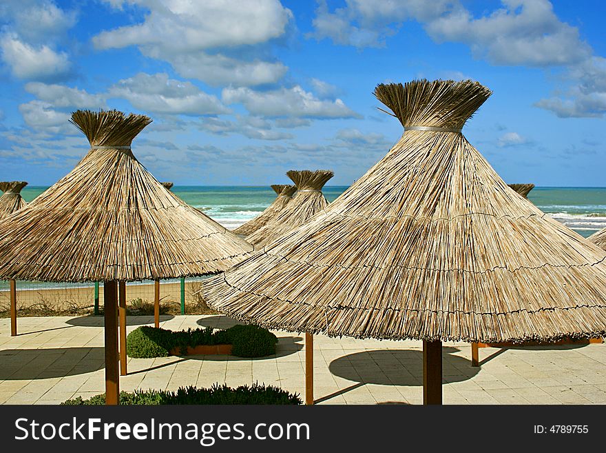 An image of umbrellas in a tropical beach