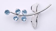 Broach Silk Royalty Free Stock Photography Broach Silk Royalty Free Stock Photography