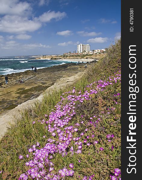 La Jolla Coast Line Near San Diego