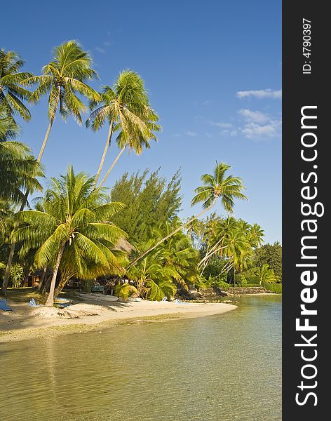 Tropical beach resort on moorea in south seas