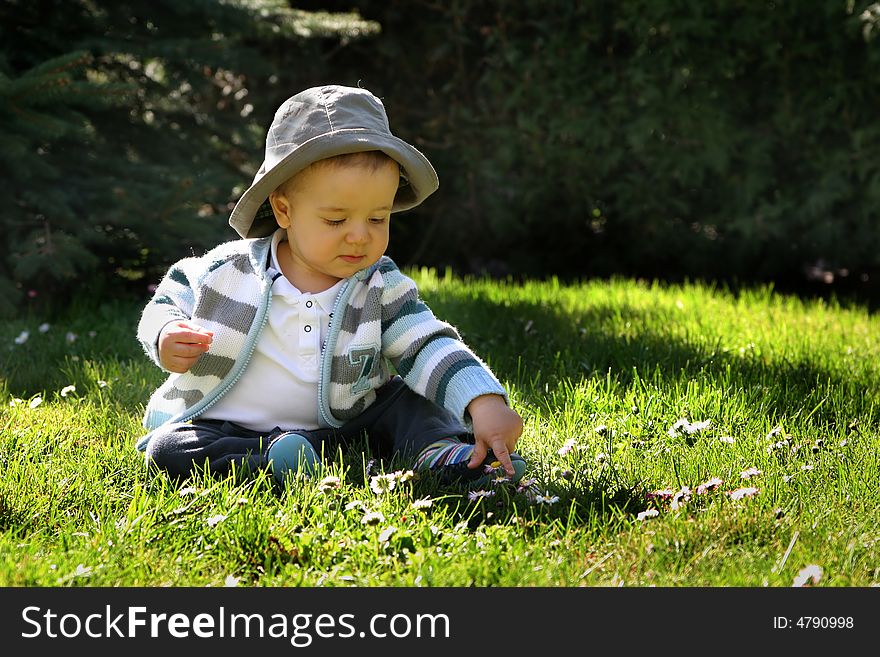 A little boy sitting on the grass and looking for daisy. A little boy sitting on the grass and looking for daisy