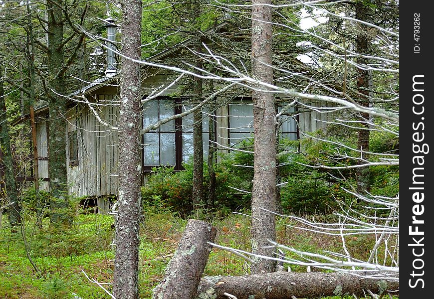 Summer cottage in the forest Broadcove Lunenburg County Nova Scotia Canada