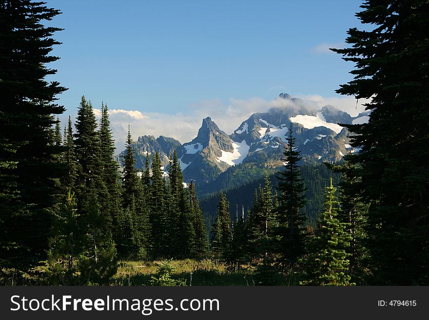 Scenic mount scene framed by trees. Scenic mount scene framed by trees