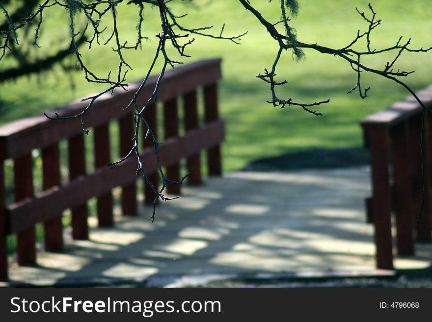 Bare tree branches with a small red bridge in the background located in a rural park. Bare tree branches with a small red bridge in the background located in a rural park.