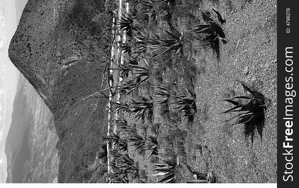 Landscape Of Magueyes With Hill On The Background