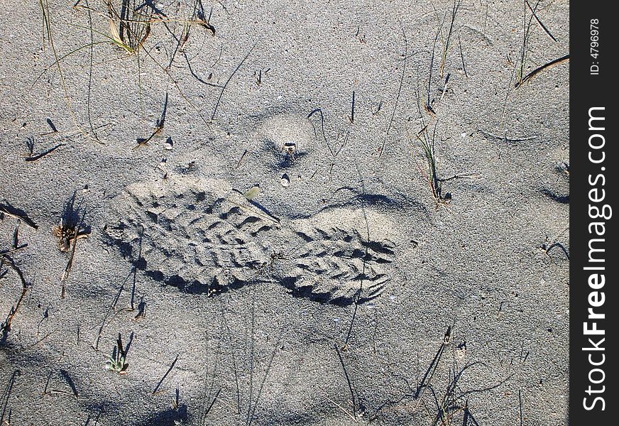 Isolated footprint on sand - background use