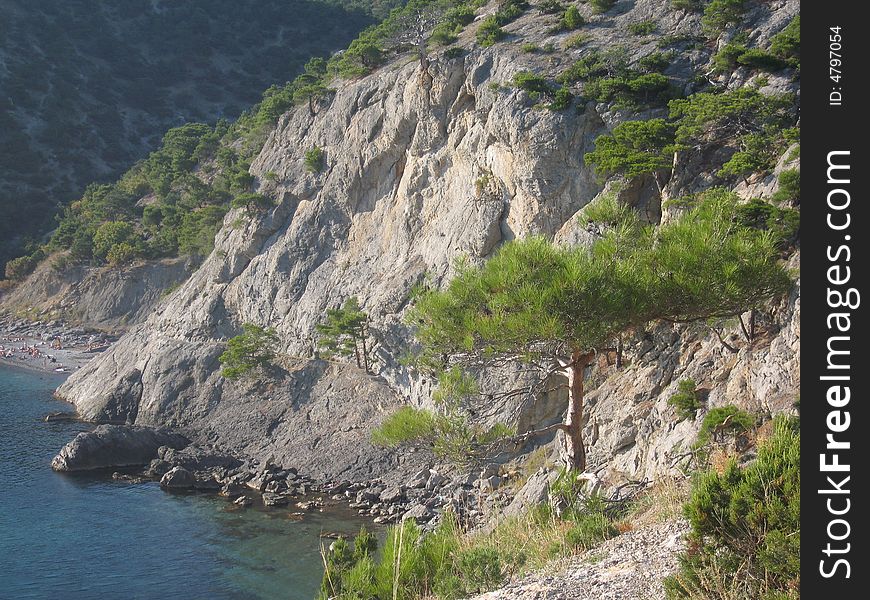 Sea landscape with rocks on the shore and tree on the rock. Recorded in Crimea, Black sea.