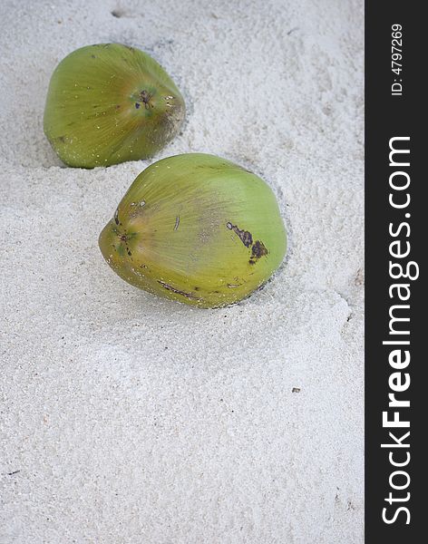Coconut Fruit on The Beach Sand