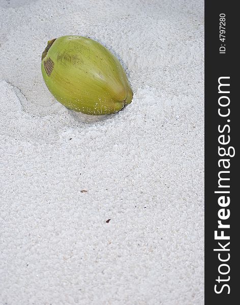 Coconut Fruit on The Beach Sand