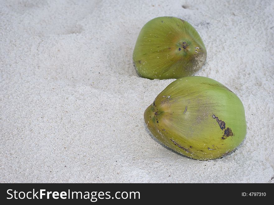 Coconut Fruit On The Beach Sand