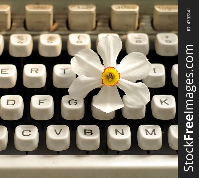 A view with a beautiful spring flower and typewriter. A view with a beautiful spring flower and typewriter