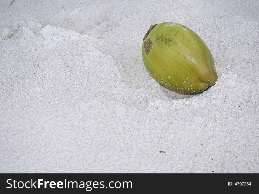 Coconut Fruit On The Beach Sand