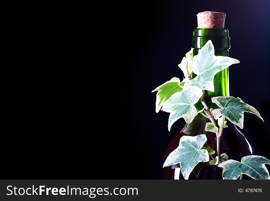 Closeup neck of the green glass wine bottle with ivy. Closeup neck of the green glass wine bottle with ivy