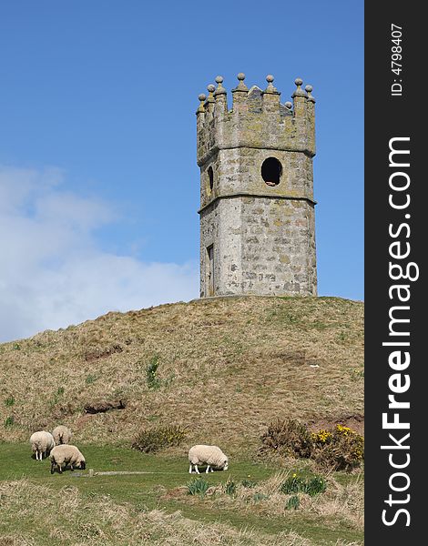 Tower and sheep just West of Fraserburgh, Scotland