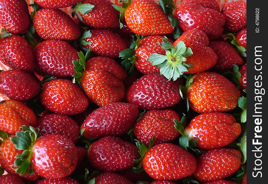 Fresh strawberries in Cameron Highland.