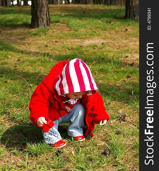 Little Girl In A Wood