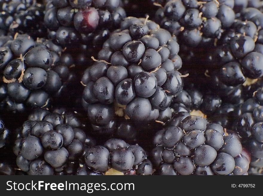 Blackberries background.