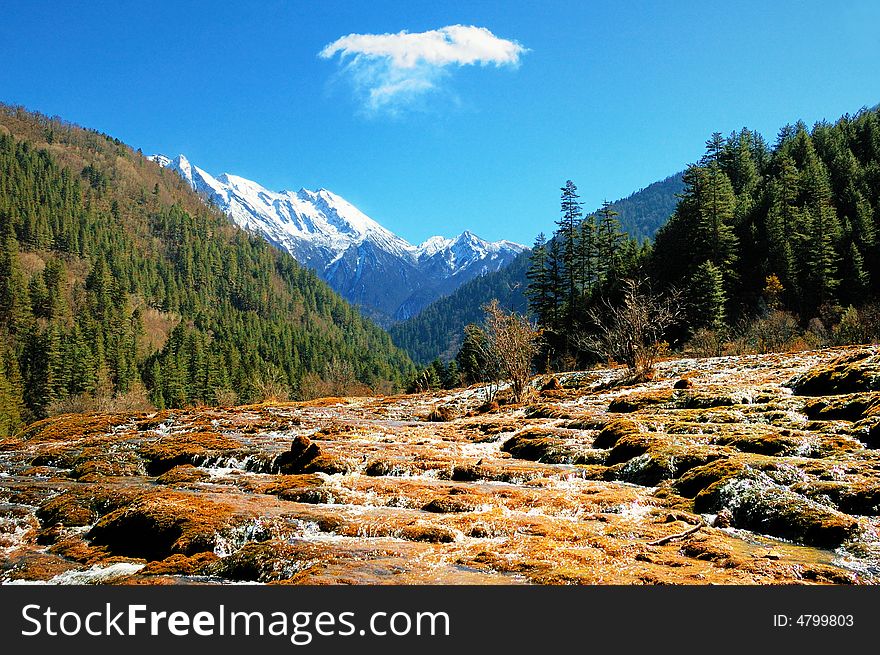 Qinghai-Tibet Plain snowy mountain, forest and waterfall,. Qinghai-Tibet Plain snowy mountain, forest and waterfall,