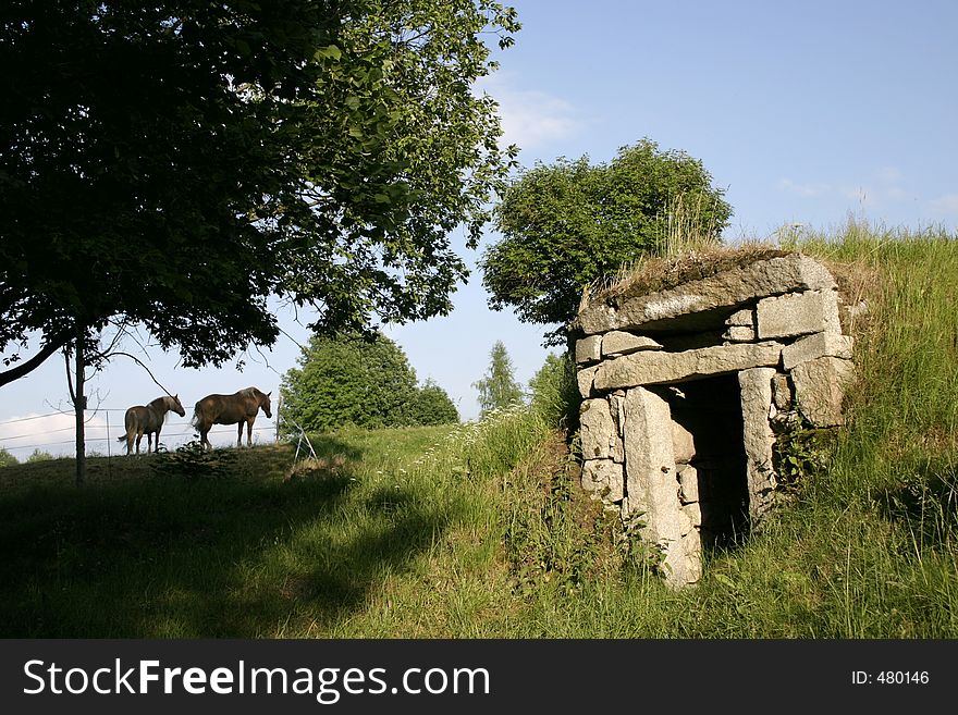 Horses and an old cellar