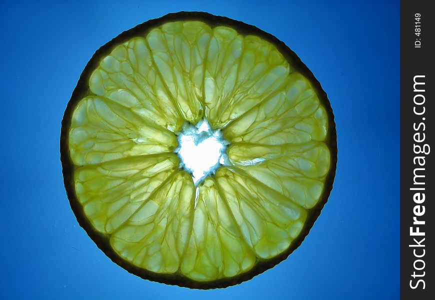 Transparent citron slice. Transparent citron slice