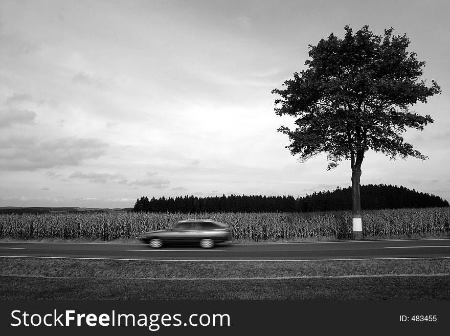 A moving car and a tree. A moving car and a tree