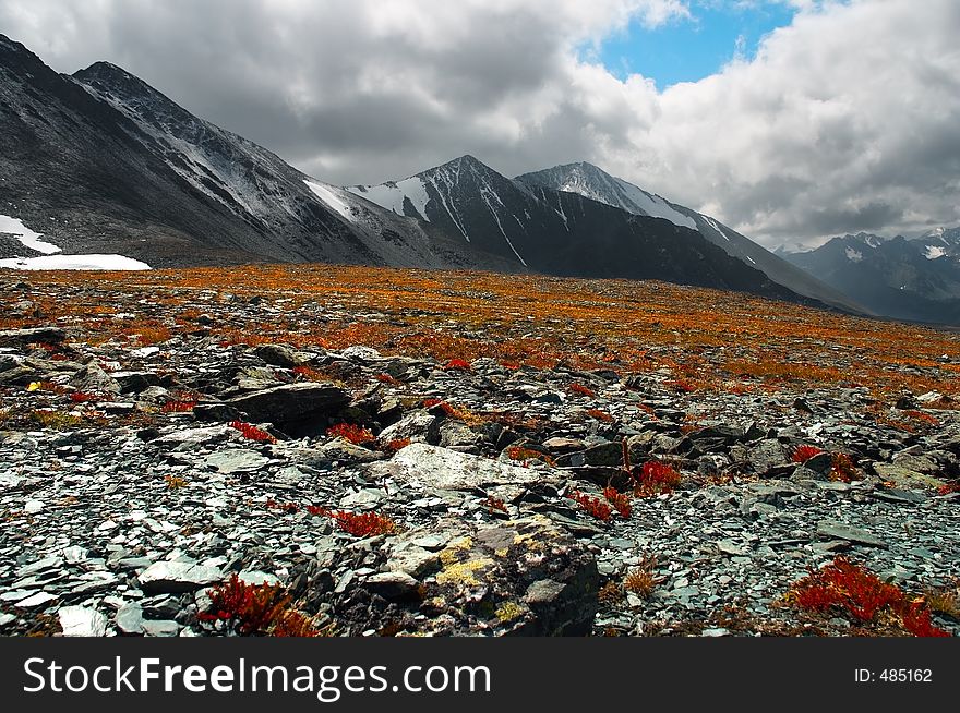 Red grass and mountains, Altay. Red grass and mountains, Altay