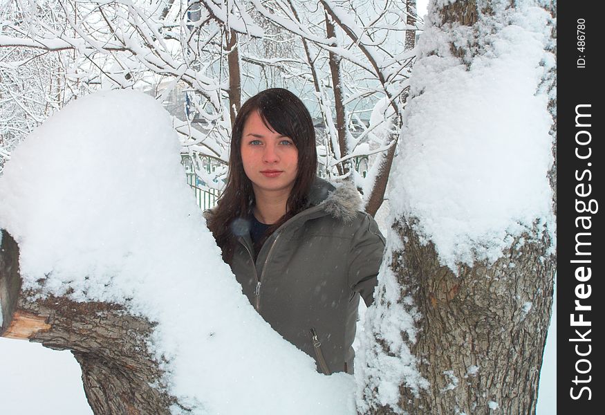 The girl behind a snow tree. The girl behind a snow tree