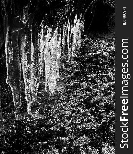 Icicles hanging from collapsed turf hole on hillside