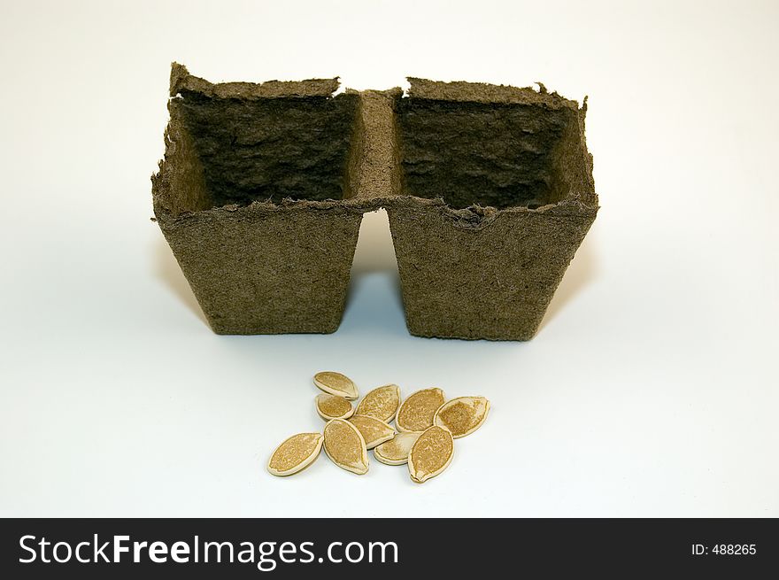 Peat pots and pumpkin seeds. Peat pots and pumpkin seeds