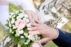 Hands With Wedding Rings Stock Images Hands With Wedding Rings Stock Images