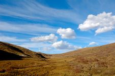 Grassland Stock Image Grassland Stock Image