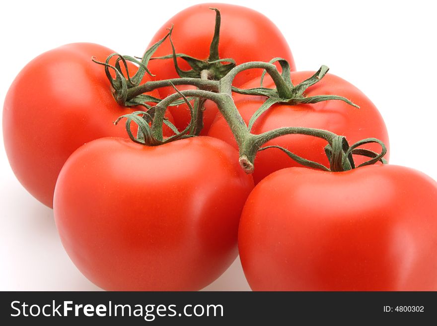 Fresh picked red vine tomatoes white background. Fresh picked red vine tomatoes white background