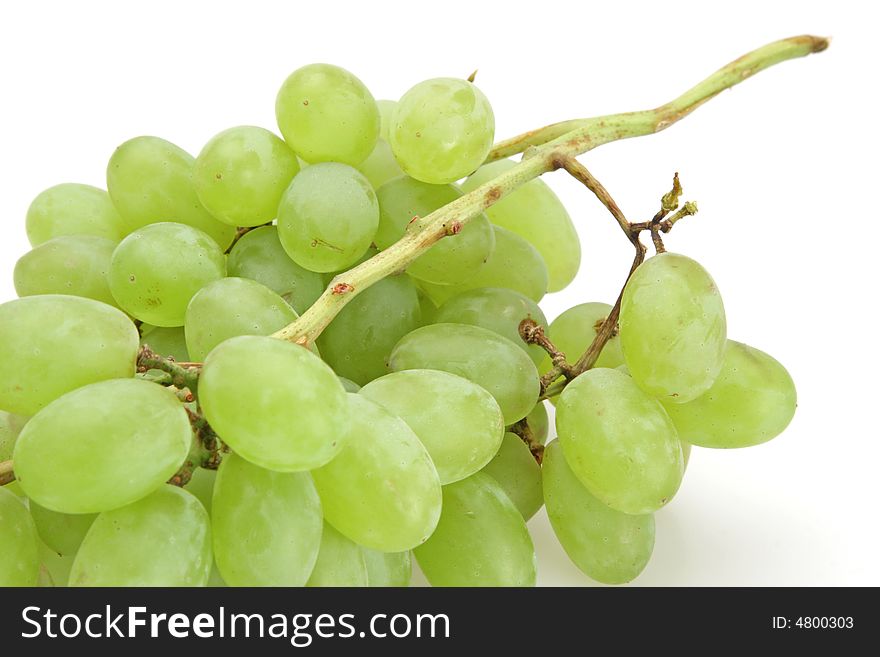 Green grape cluster fresh picked off the vine. Green grape cluster fresh picked off the vine