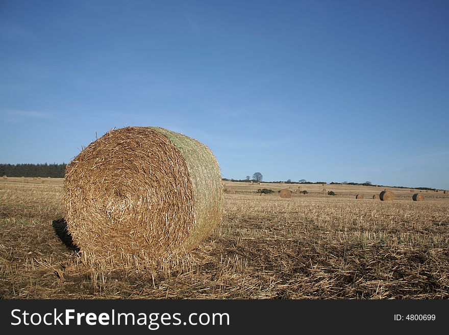 Photo of Hay Bales in a field near Inveruie, Scotland