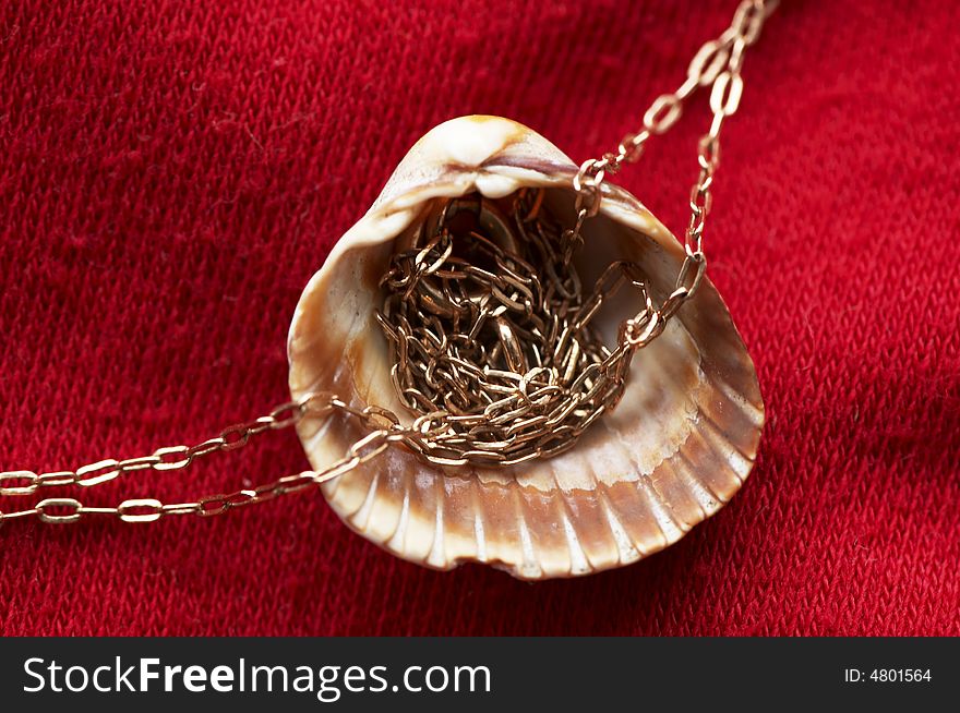 Sea Shell And Golden Chain