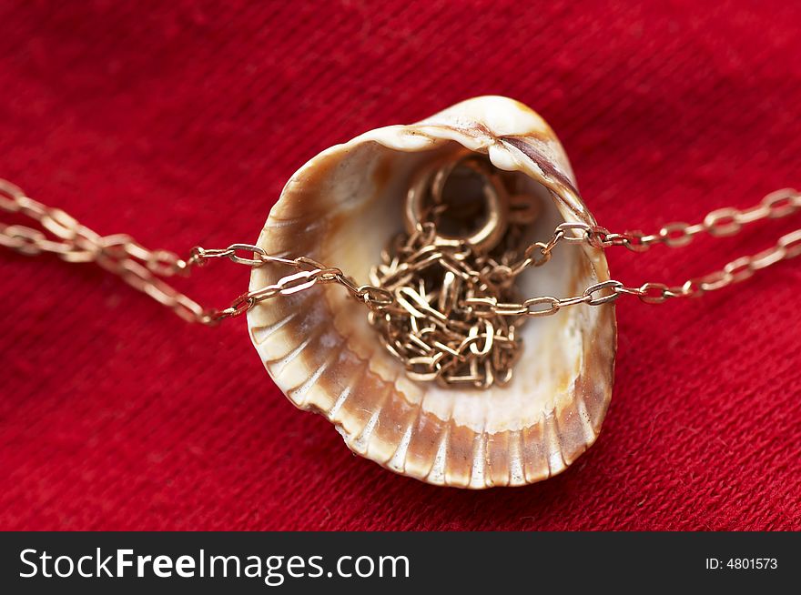 Sea shell and golden chain theme