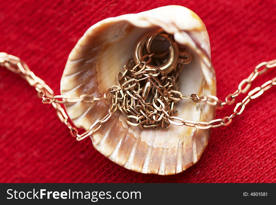 Sea shell and golden chain