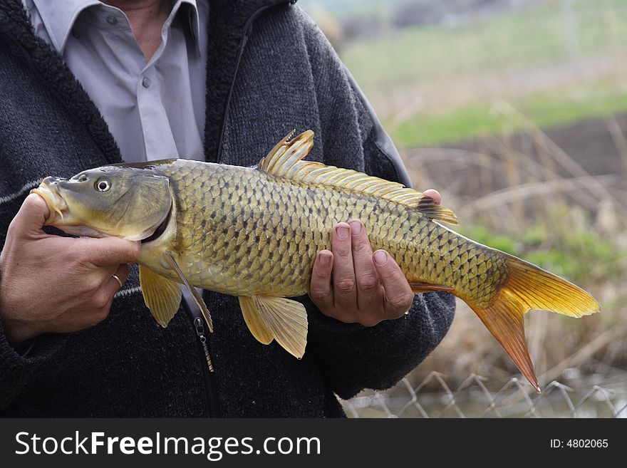 Caughted fish in hand beside men. Caughted fish in hand beside men