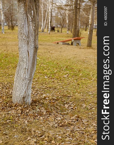 View on the city park, tree trunk and broken bench. View on the city park, tree trunk and broken bench