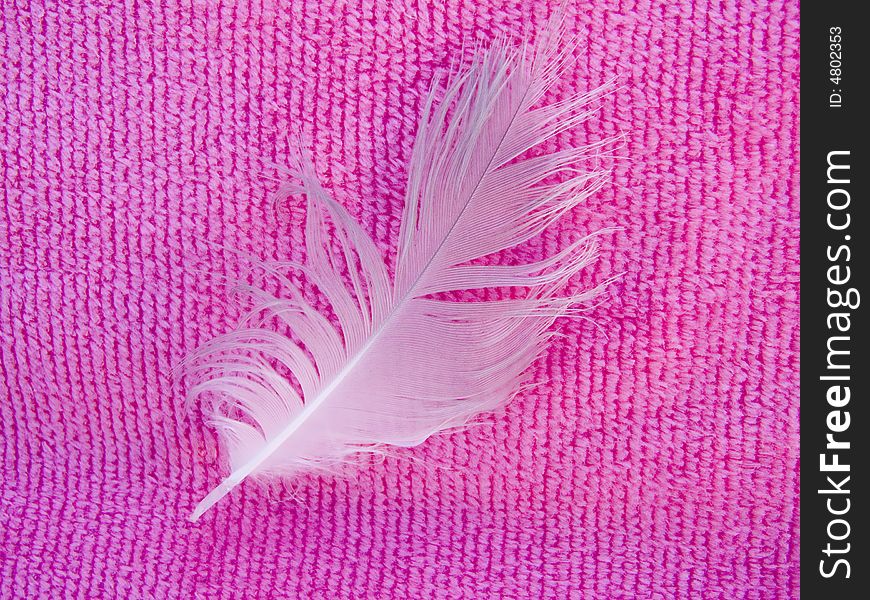 White Feather