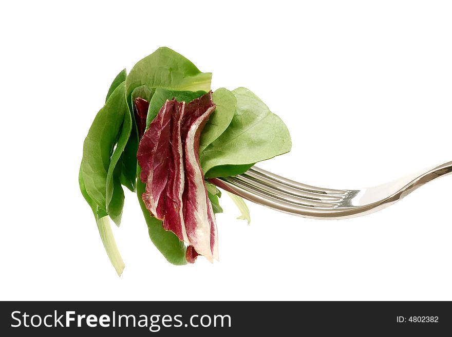 Different kinds of lettuce on a fork. Different kinds of lettuce on a fork
