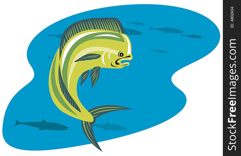 Vector art of a Dorado dolphin fish