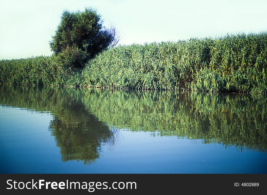 River bank vegetation, mirrored in the smooth water surface. River bank vegetation, mirrored in the smooth water surface.